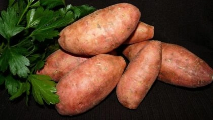 Les bienfaits de la patate douce pour la santé