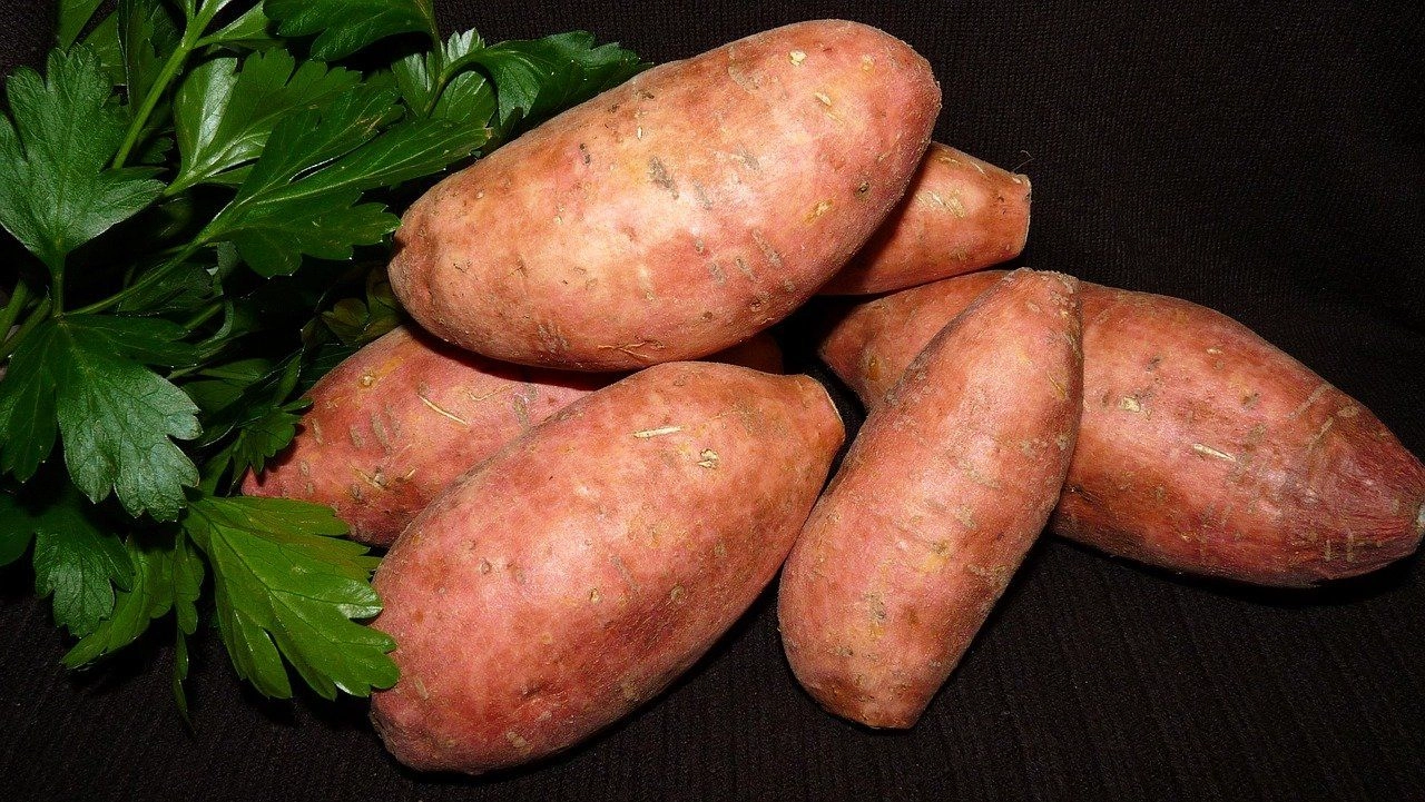 Les bienfaits de la patate douce pour la santé