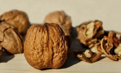 Bienfaits des noix pour la santé