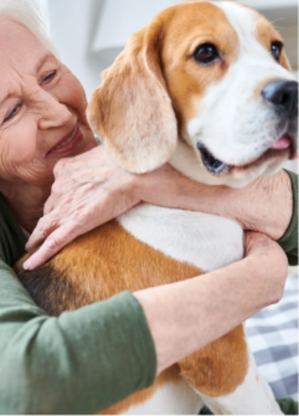 Soin aux animaux de compagnie