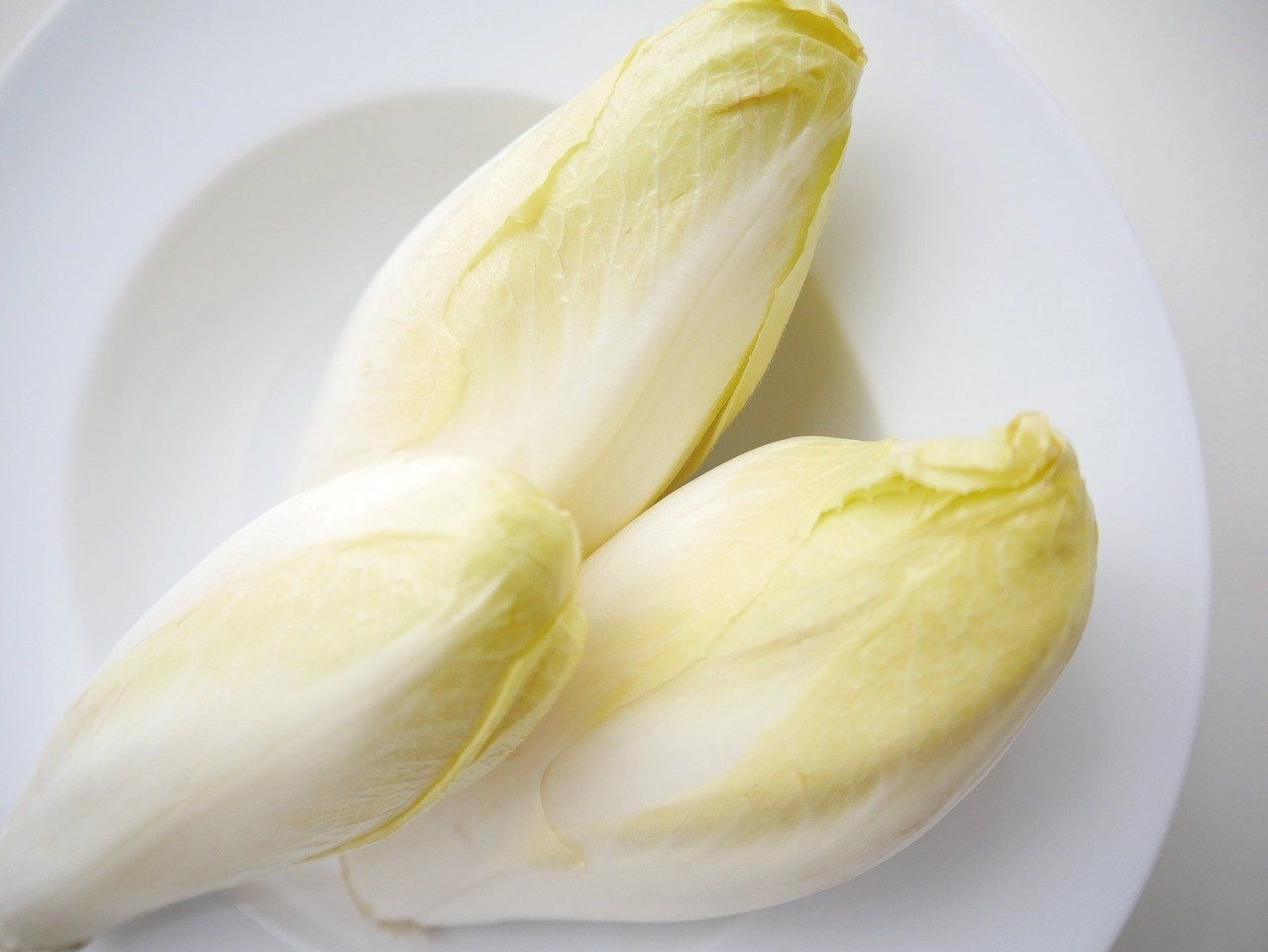 Les bienfaits de l'endive pour la santé