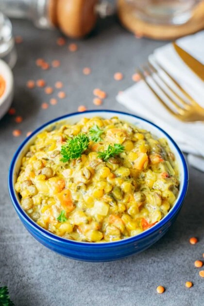 Dahl lentilles légumes cuisinés BIO