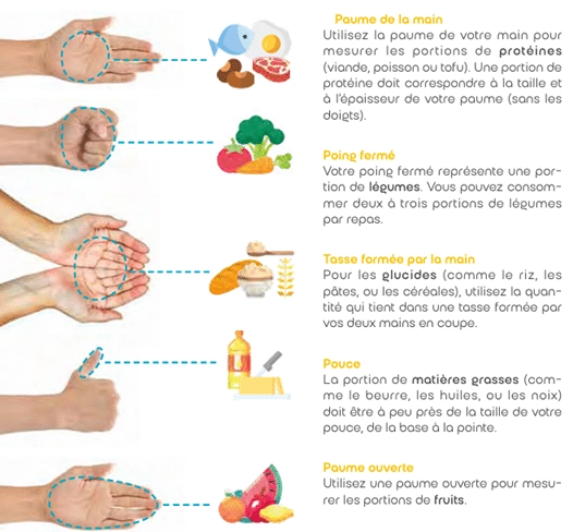 Portions alimentaires et repères avec les mains