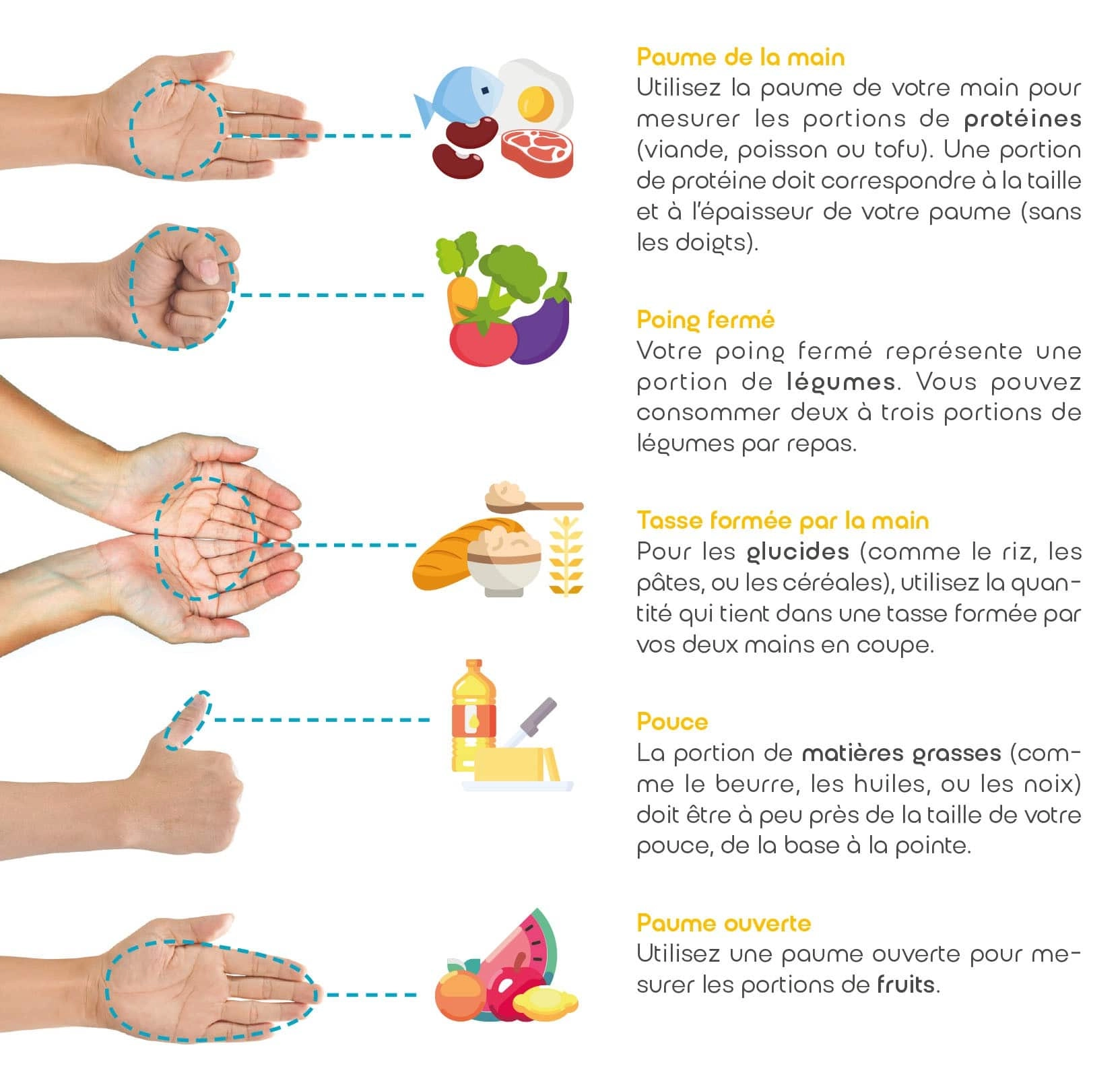 Portions alimentaires et repères avec les mains